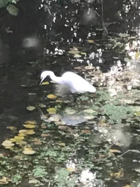 Reveil Aux Chants Des Oiseaux Asse-le-Riboul المظهر الخارجي الصورة