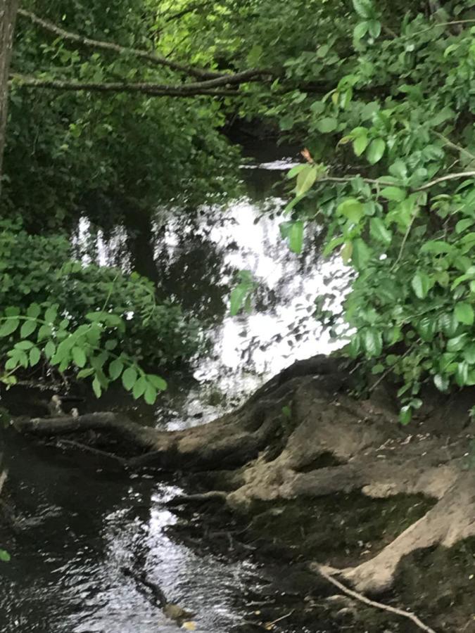 Reveil Aux Chants Des Oiseaux Asse-le-Riboul المظهر الخارجي الصورة