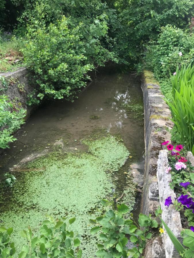 Reveil Aux Chants Des Oiseaux Asse-le-Riboul المظهر الخارجي الصورة